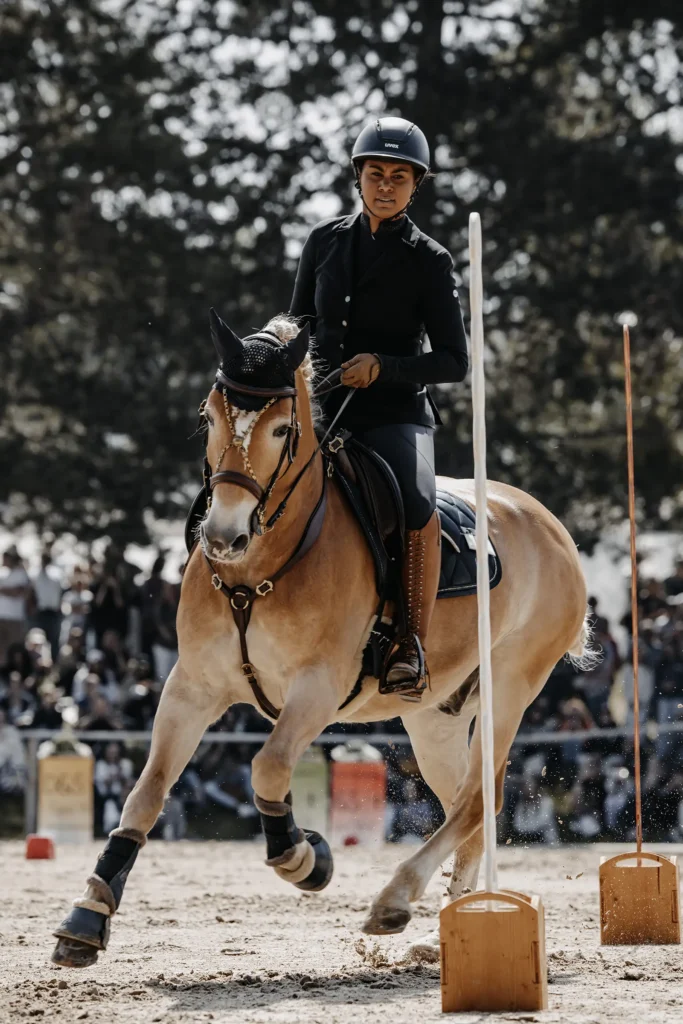 Reiterin reitet mit einem Haflinger im Galopp um einen Slalom Pfosten