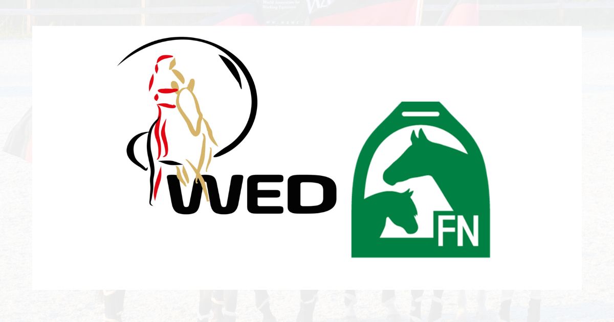 Für Juni & Juli habe ich noch Kapazitäten für Working Equitation oder Gelassenheits Kurse frei!